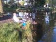 Thijs Dielissen